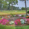 Magnolia Place
